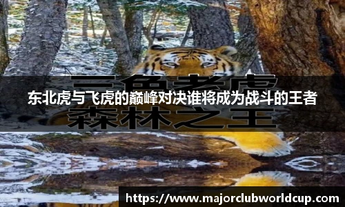 世预赛买球