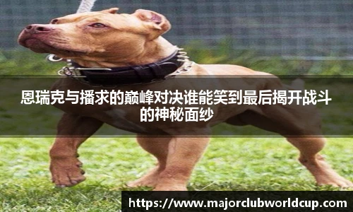 世预赛直播